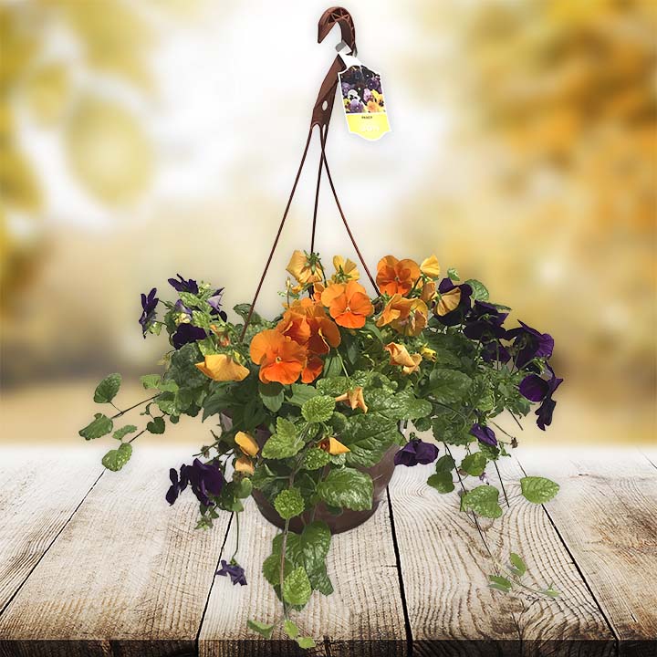 We Grow Amazing Plants!